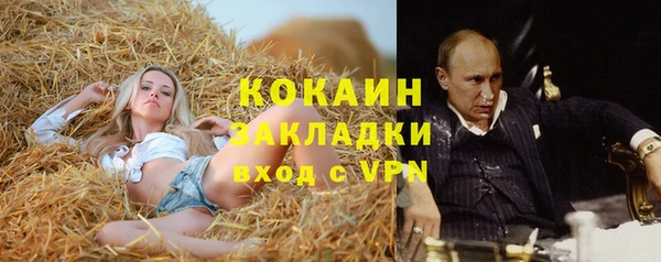 стафф Бронницы