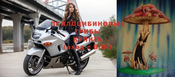 дживик Верея