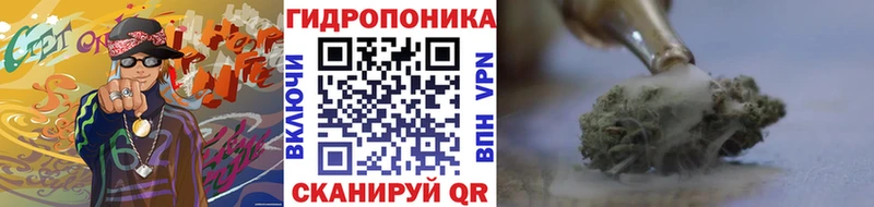 где купить   Каменск-Шахтинский  Бошки марихуана MAZAR 